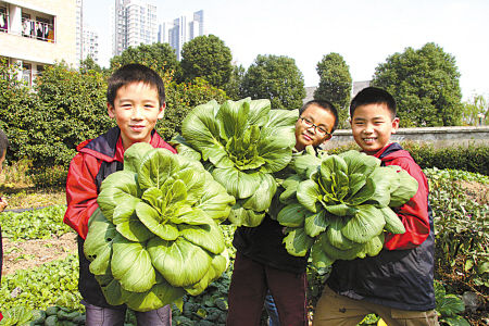电子pg游戏平台