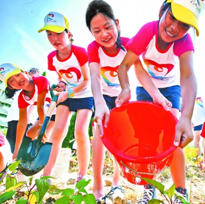 电子pg游戏平台