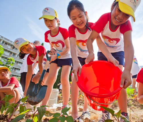 电子pg游戏平台