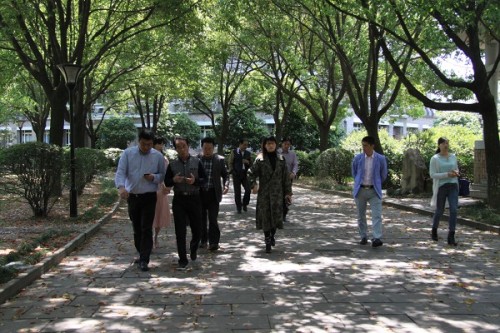 电子pg游戏平台