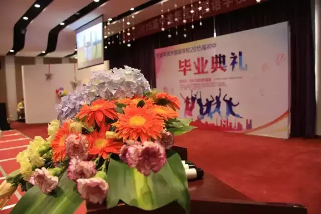 电子pg游戏平台