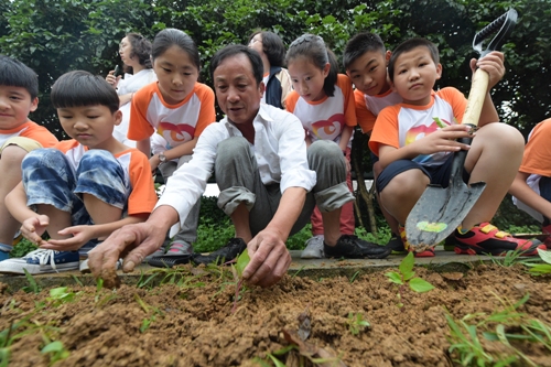 电子pg游戏平台