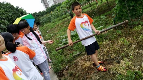 电子pg游戏平台