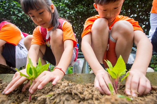 电子pg游戏平台