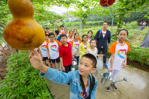 电子pg游戏平台