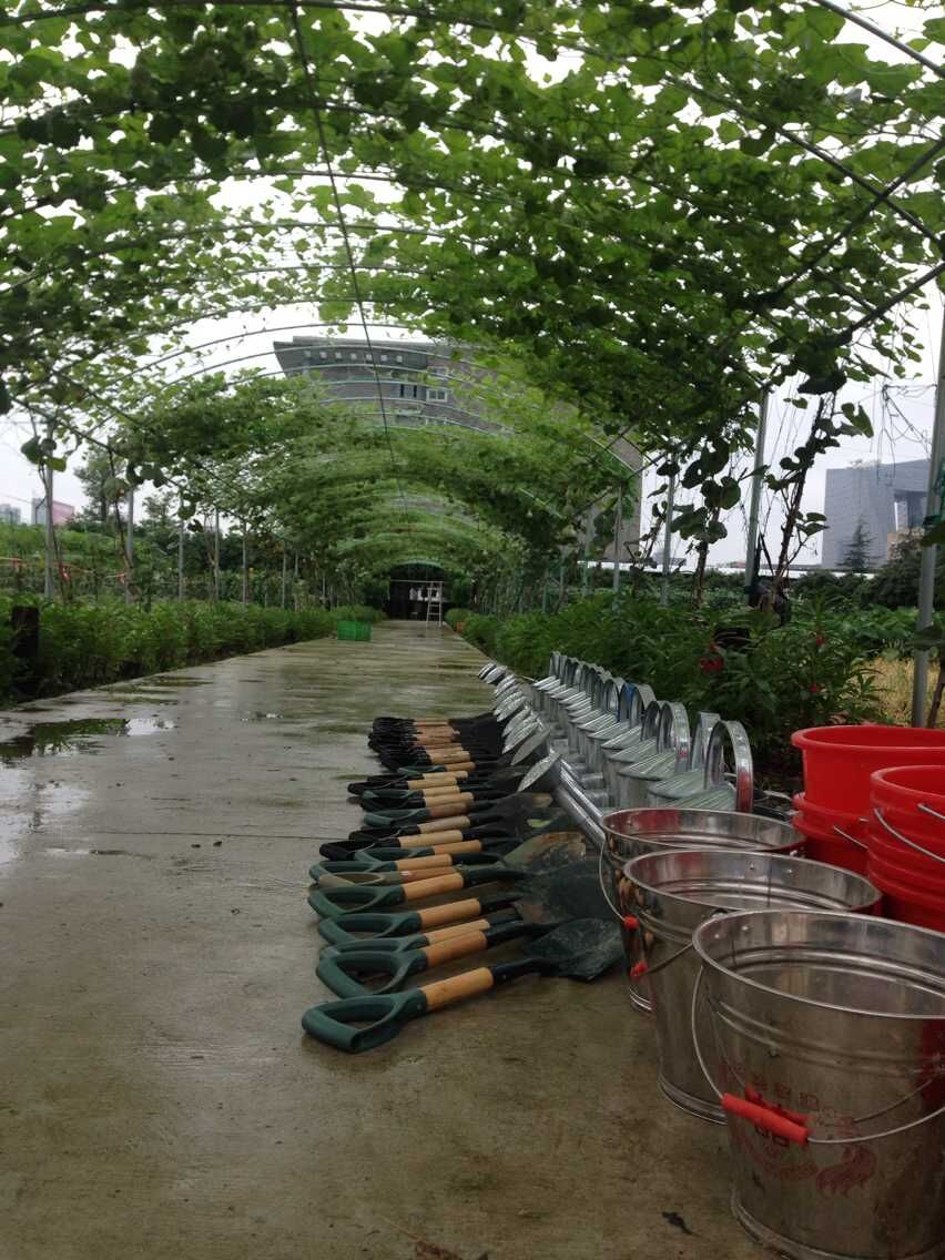 电子pg游戏平台