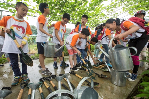 电子pg游戏平台