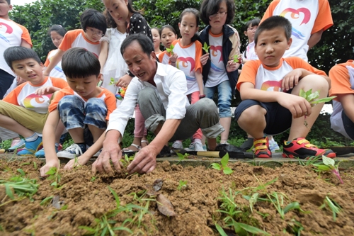 电子pg游戏平台
