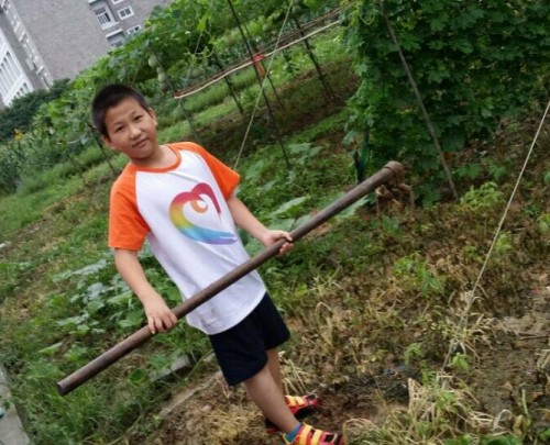 电子pg游戏平台