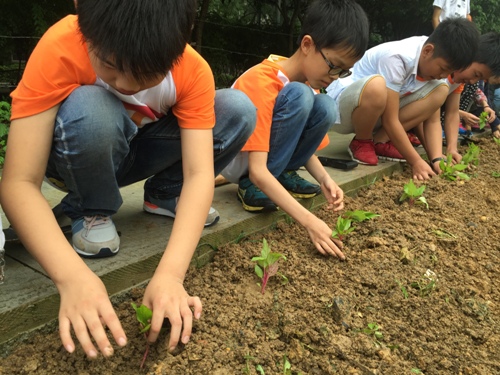 电子pg游戏平台