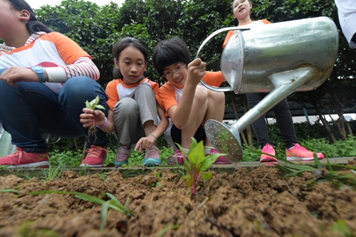 电子pg游戏平台