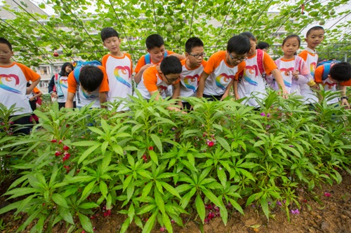 电子pg游戏平台