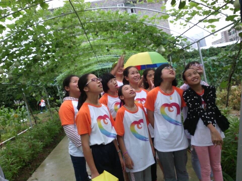 电子pg游戏平台