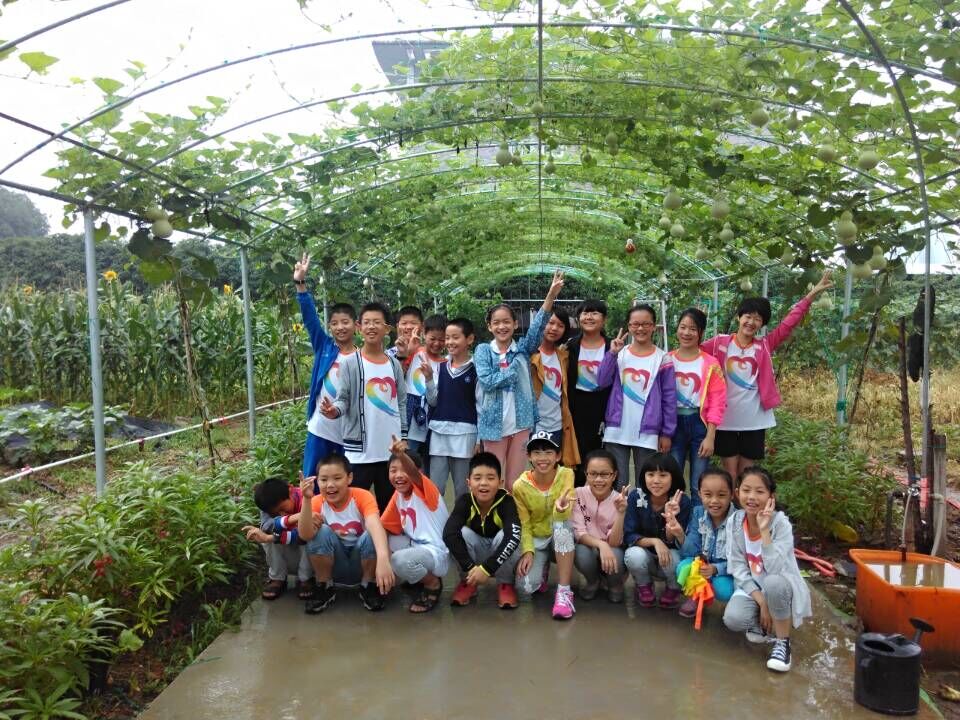 电子pg游戏平台