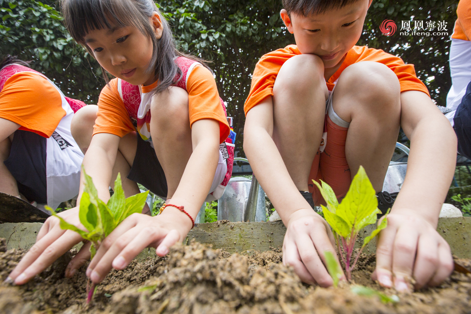 电子pg游戏平台