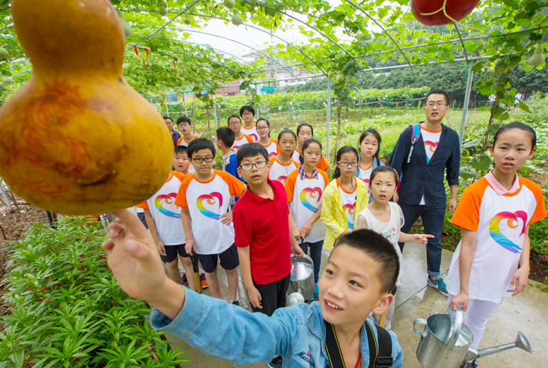 电子pg游戏平台