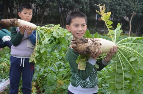 电子pg游戏平台