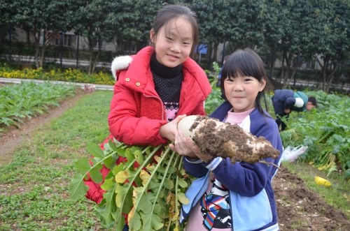 电子pg游戏平台