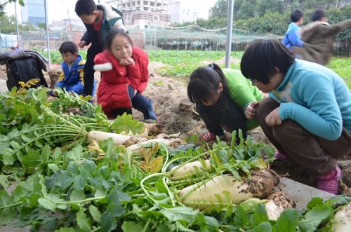 电子pg游戏平台