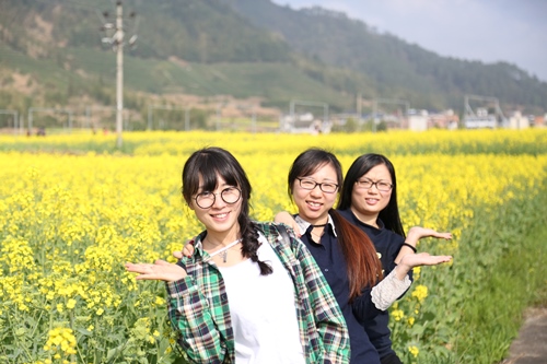 电子pg游戏平台