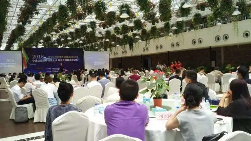 电子pg游戏平台