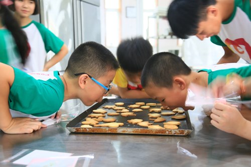 电子pg游戏平台