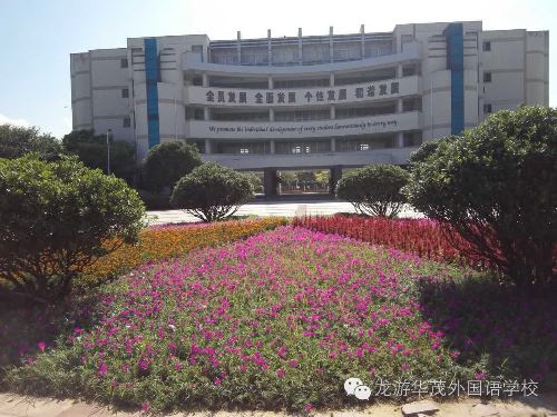 电子pg游戏平台