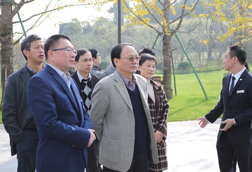 电子pg游戏平台