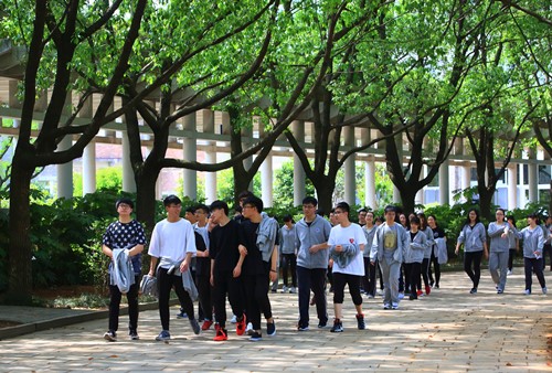 电子pg游戏平台