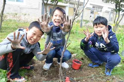 电子pg游戏平台