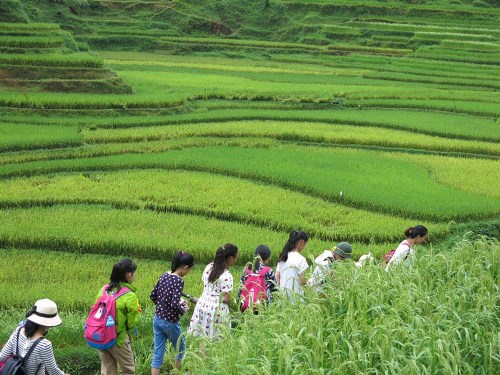 电子pg游戏平台