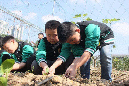 电子pg游戏平台